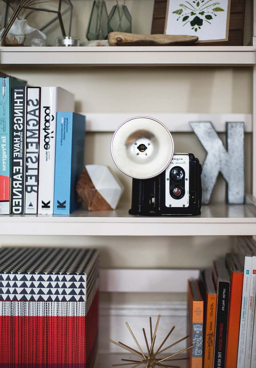 potted plant black camera on shelf flora